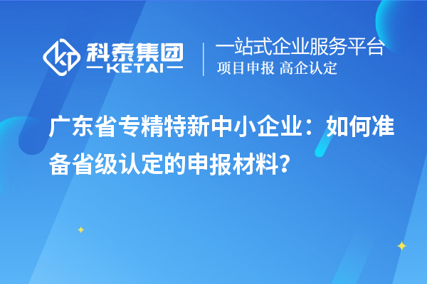 廣東省專精特新中小企業：如何準備省級認定的申報材料？