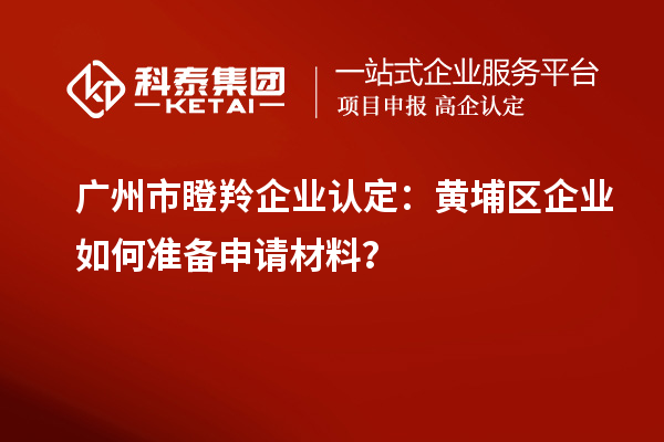 廣州市瞪羚企業認定：黃埔區企業如何準備申請材料？