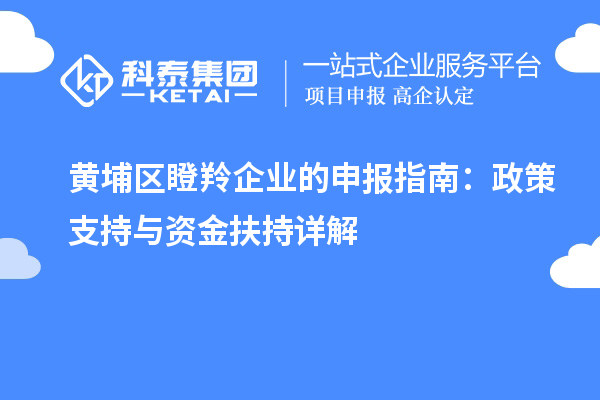 黃埔區瞪羚企業的申報指南：政策支持與資金扶持詳解