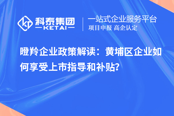 瞪羚企業政策解讀：黃埔區企業如何享受上市指導和補貼？