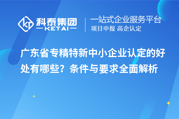 廣東省專精特新中小企業認定的好處有哪些？條件與要求全面解析