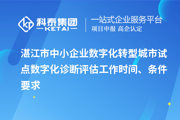 湛江市中小企業數字化轉型城市試點數字化診斷評估工作時間、條件要求