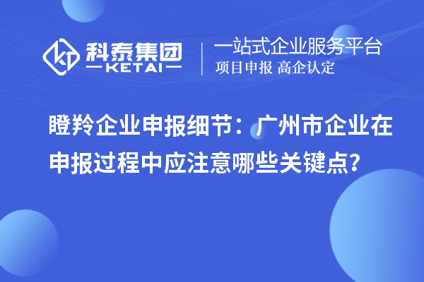 瞪羚企業申報細節：廣州市企業在申報過程中應注意哪些關鍵點？