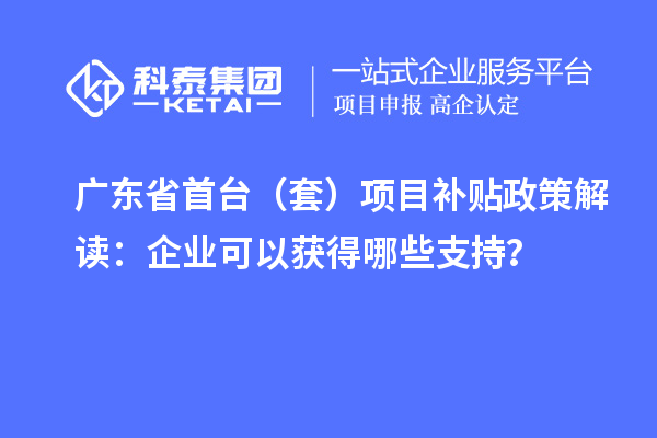 廣東省首臺（套）項目補貼政策解讀：企業可以獲得哪些支持？