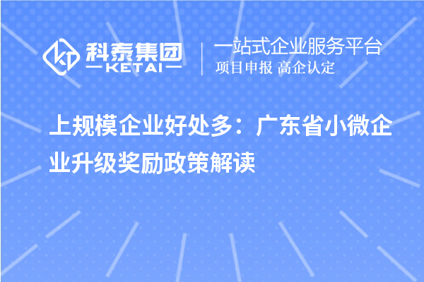 上規模企業好處多：廣東省小微企業升級獎勵政策解讀