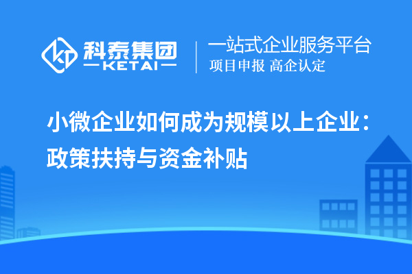 小微企業(yè)如何成為規(guī)模以上企業(yè)：政策扶持與資金補(bǔ)貼