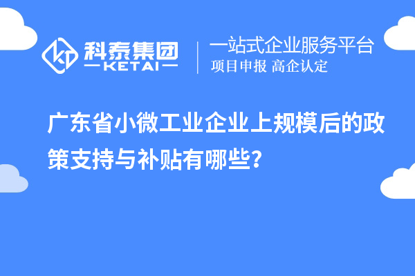 廣東省小微工業企業上規模后的政策支持與補貼有哪些？