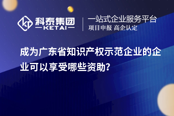 成為廣東省知識產權示范企業的企業可以享受哪些資助？