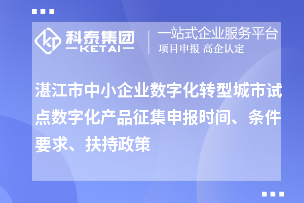 湛江市中小企業數字化轉型城市試點數字化產品征集申報時間、條件要求、扶持政策