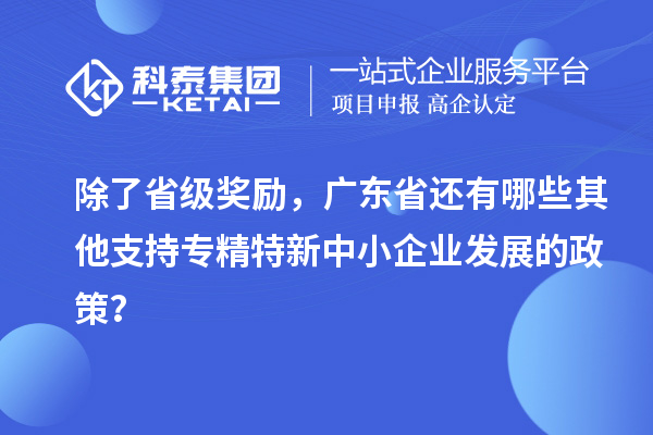 除了省級獎勵，廣東省還有哪些其他支持專精特新中小企業發展的政策？