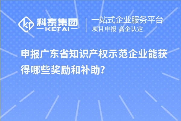 申報廣東省知識產權示范企業能獲得哪些獎勵和補助？