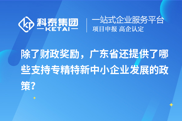 除了財政獎勵，廣東省還提供了哪些支持專精特新中小企業發展的政策？