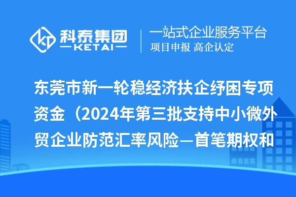 東莞市新一輪穩經濟扶企紓困專項資金（2024年第三批支持中小微外貿企業防范匯率風險—首筆期權和首辦戶項目）初審結果的公示