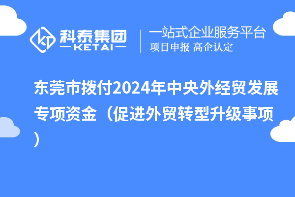 東莞市撥付2024年中央外經貿發展專項資金（促進外貿轉型升級事項）