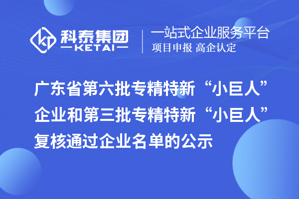 廣東省第六批專精特新“小巨人”企業和第三批專精特新“小巨人”復核通過企業名單的公示