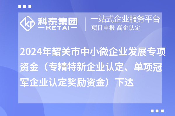 2024年韶關(guān)市中小微企業(yè)發(fā)展專項(xiàng)資金（專精特新企業(yè)認(rèn)定、單項(xiàng)冠軍企業(yè)認(rèn)定獎(jiǎng)勵(lì)資金）下達(dá)