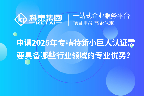 申請2025年專精特新小巨人認證需要具備哪些行業領域的專業優勢？