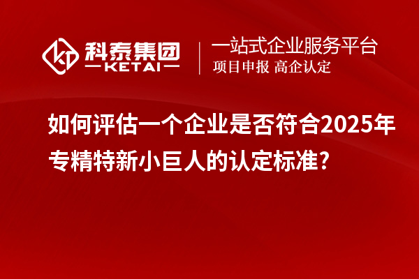 如何評估一個企業是否符合2025年專精特新小巨人的認定標準?