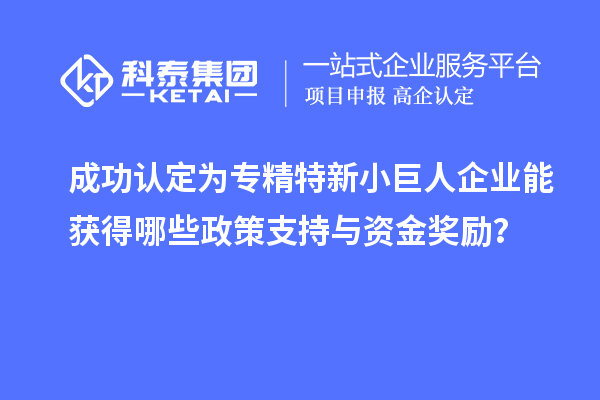 成功認定為專精特新小巨人企業能獲得哪些政策支持與資金獎勵？