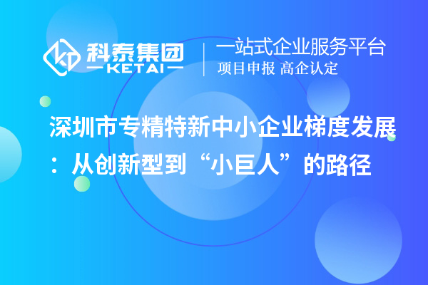 深圳市專精特新中小企業梯度發展：從創新型到“小巨人”的路徑