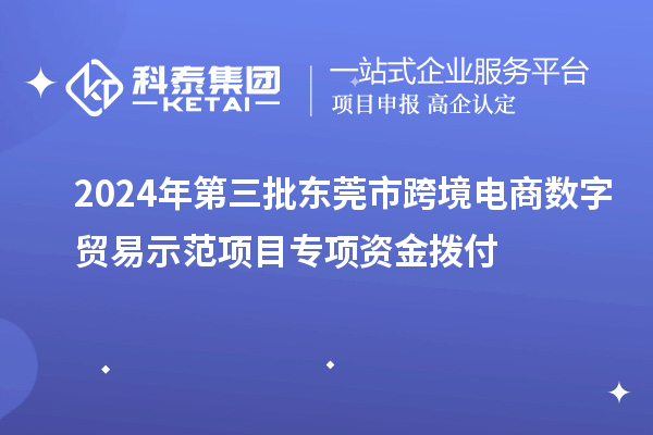 2024年第三批東莞市跨境電商數字貿易示范項目專項資金撥付