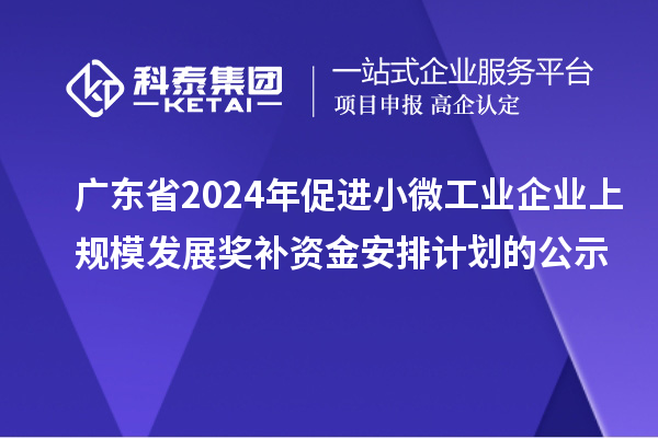 廣東省2024年促進小微工業企業上規模發展獎補資金安排計劃的公示