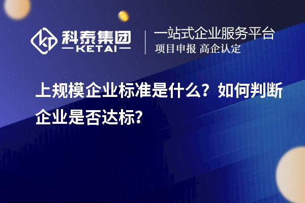 上規模企業標準是什么？如何判斷企業是否達標？