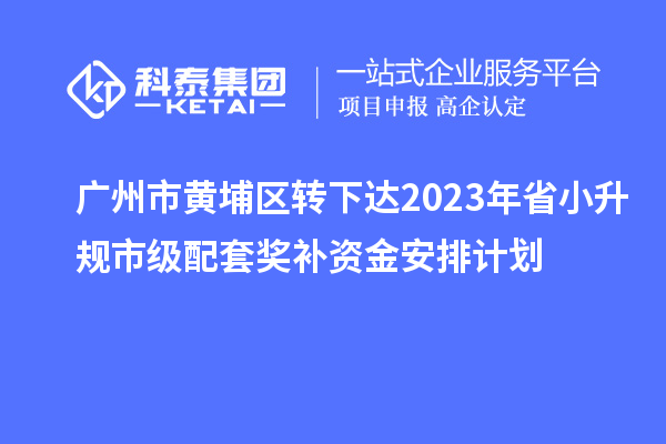 廣州市黃埔區轉下達2023年省小升規市級配套獎補資金安排計劃