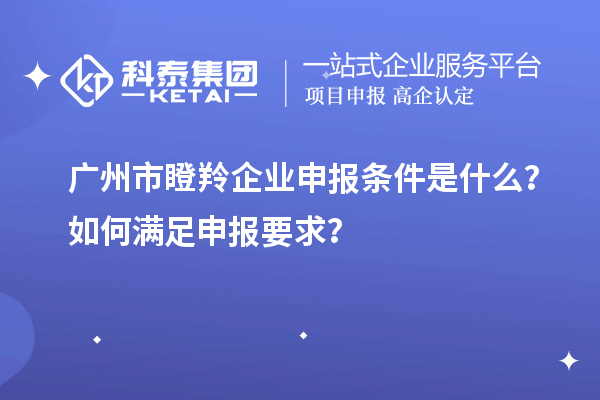 廣州市瞪羚企業申報條件是什么？如何滿足申報要求？