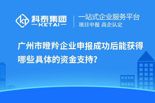 廣州市瞪羚企業申報成功后能獲得哪些具體的資金支持？