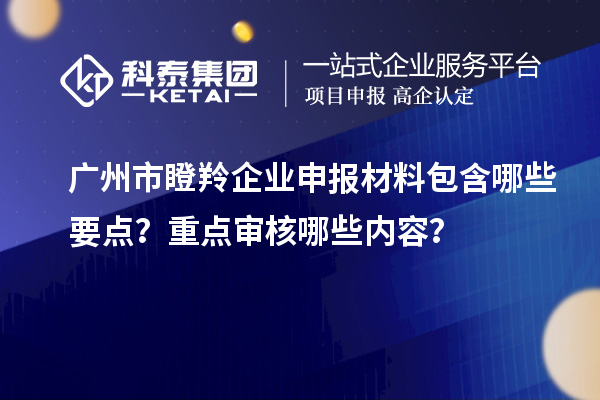 廣州市瞪羚企業申報材料包含哪些要點？重點審核哪些內容？