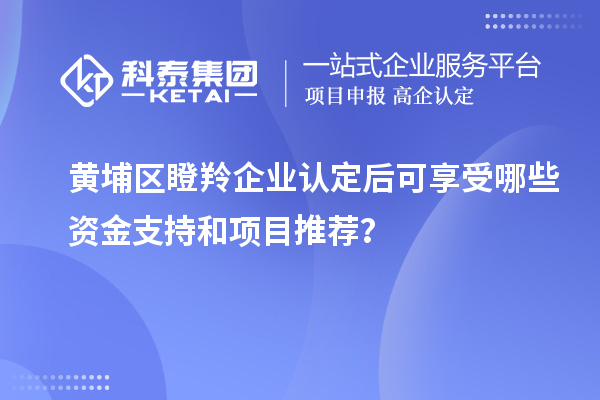 黃埔區瞪羚企業認定后可享受哪些資金支持和項目推薦？