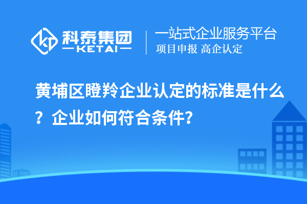 黃埔區瞪羚企業認定的標準是什么？企業如何符合條件？