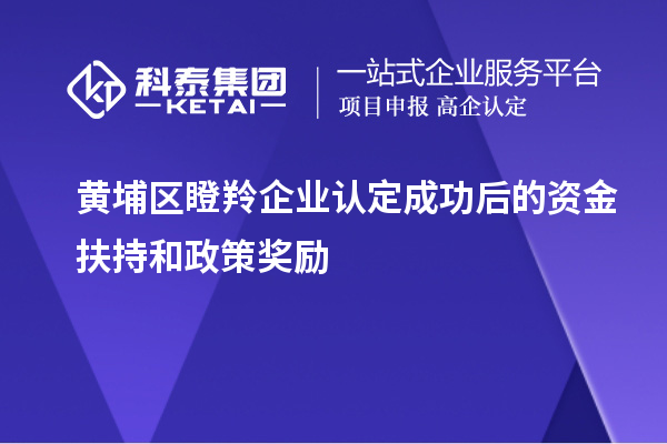 黃埔區瞪羚企業認定成功后的資金扶持和政策獎勵