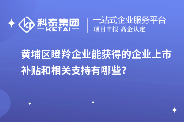 黃埔區瞪羚企業能獲得的企業上市補貼和相關支持有哪些？