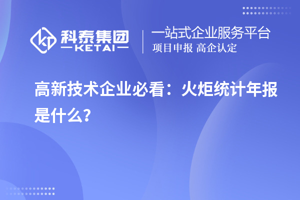 高新技術企業必看：火炬統計年報是什么？