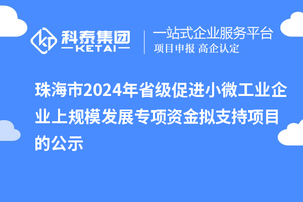 珠海市2024年省級促進(jìn)小微工業(yè)企業(yè)上規(guī)模發(fā)展專項(xiàng)資金擬支持項(xiàng)目的公示