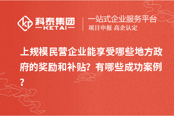 上規模民營企業能享受哪些地方政府的獎勵和補貼？有哪些成功案例？