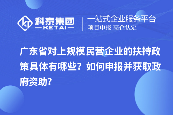 廣東省對上規模民營企業的扶持政策具體有哪些？如何申報并獲取政府資助？