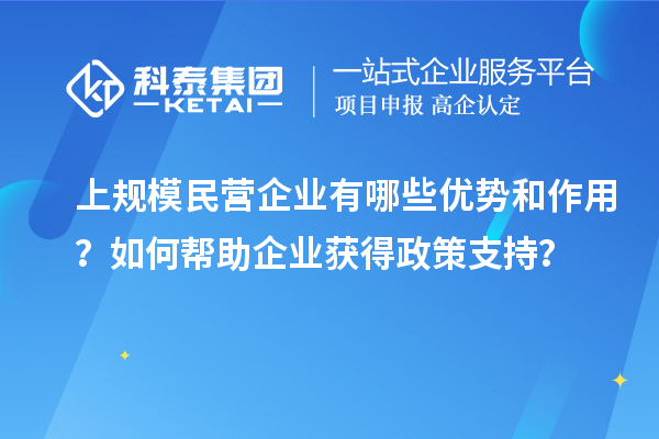 上規模民營企業有哪些優勢和作用？如何幫助企業獲得政策支持？