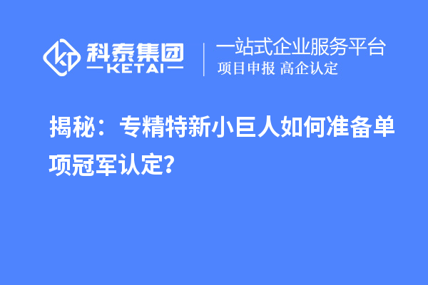 揭秘：專精特新小巨人如何準備單項冠軍認定？