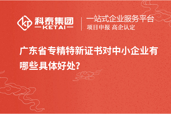 廣東省專精特新證書對中小企業(yè)有哪些具體好處？