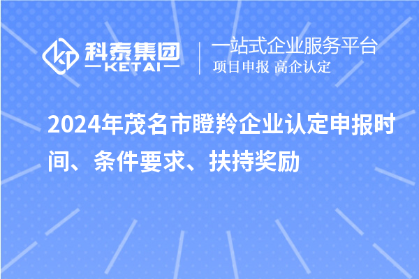 2024年茂名市瞪羚企業認定申報時間、條件要求、扶持獎勵