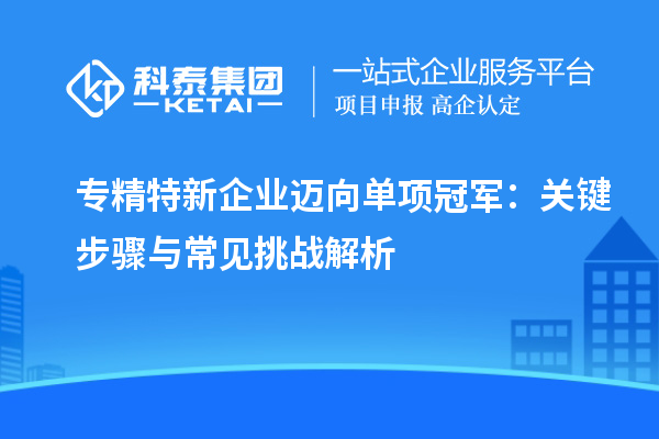 專精特新企業(yè)邁向單項(xiàng)冠軍：關(guān)鍵步驟與常見挑戰(zhàn)解析