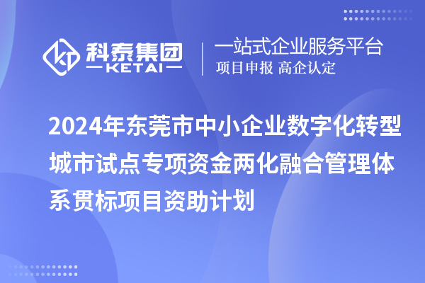 2024年東莞市中小企業數字化轉型城市試點專項資金兩化融合管理體系貫標項目資助計劃