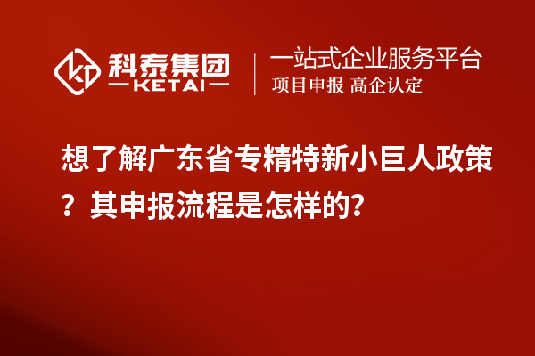 想了解廣東省專精特新小巨人政策？其申報流程是怎樣的？