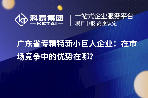 廣東省專精特新小巨人企業：在市場競爭中的優勢在哪？