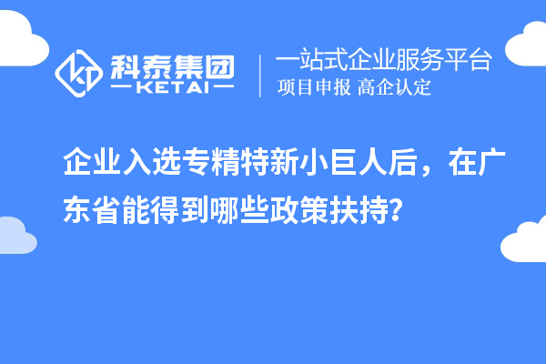 企業入選專精特新小巨人后，在廣東省能得到哪些政策扶持？