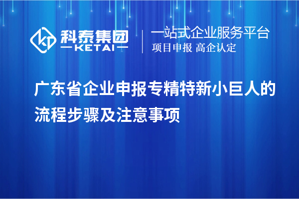 廣東省企業申報專精特新小巨人的流程步驟及注意事項