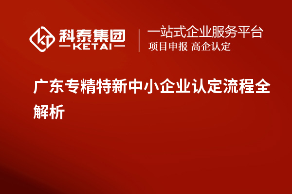 廣東專精特新中小企業認定流程全解析